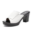 Thick Heeled Sandals Women''s Wear High Heeled Thick